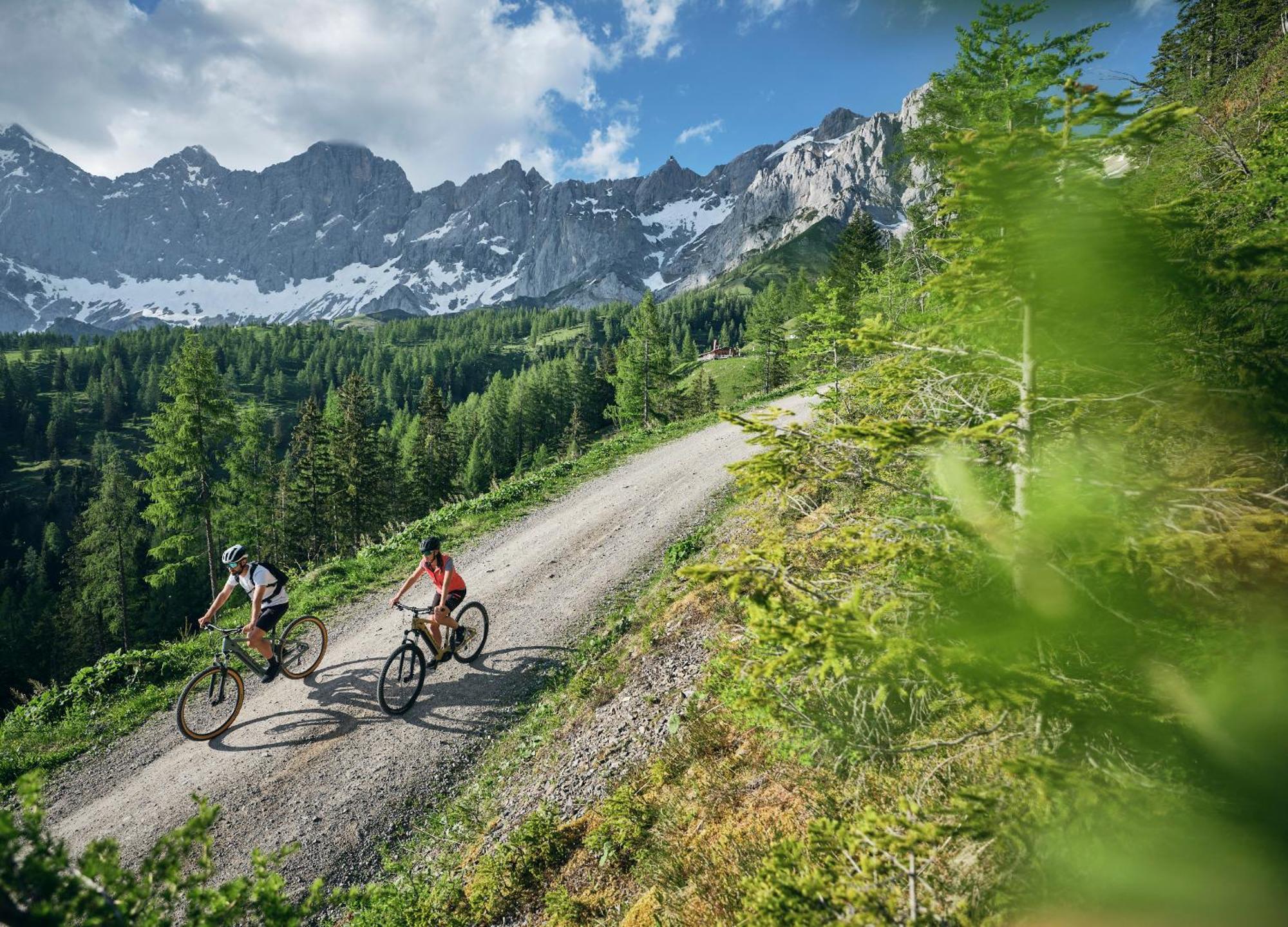 Chalet Luxury Gradenbach Near Schladming